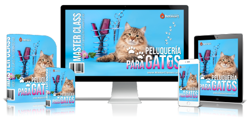 PELUQUERÍA PARA GATOS